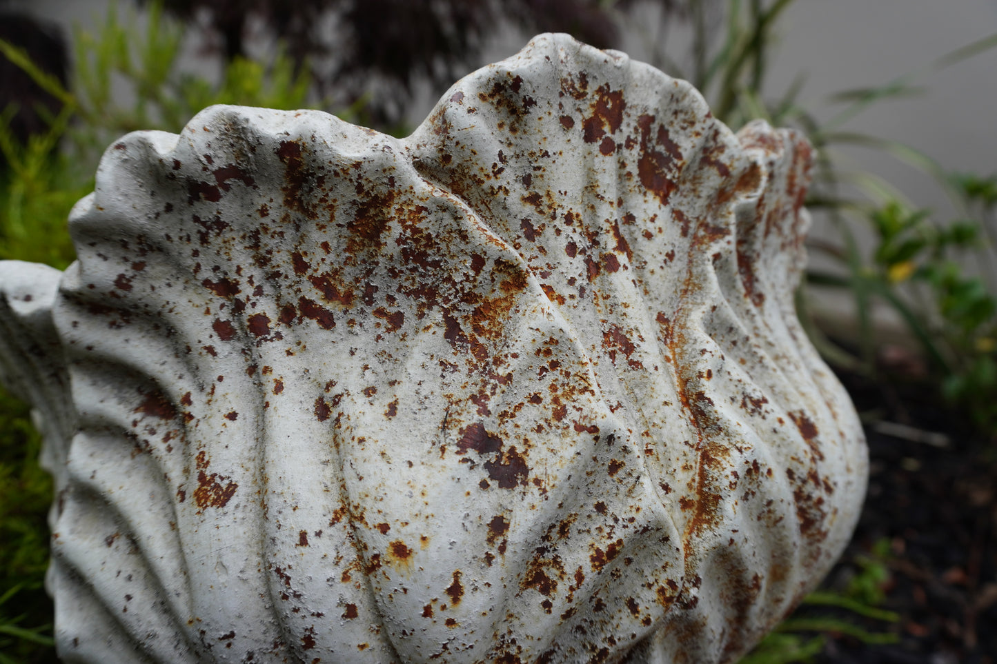 close up view of aged leaf urn