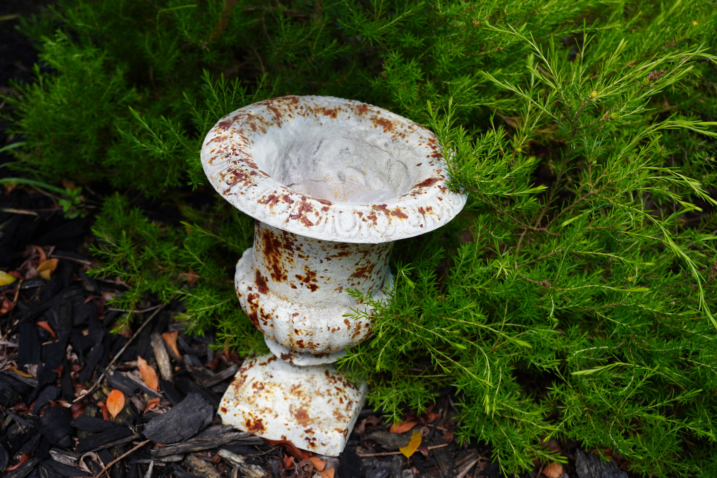 top view of rusted garden pot