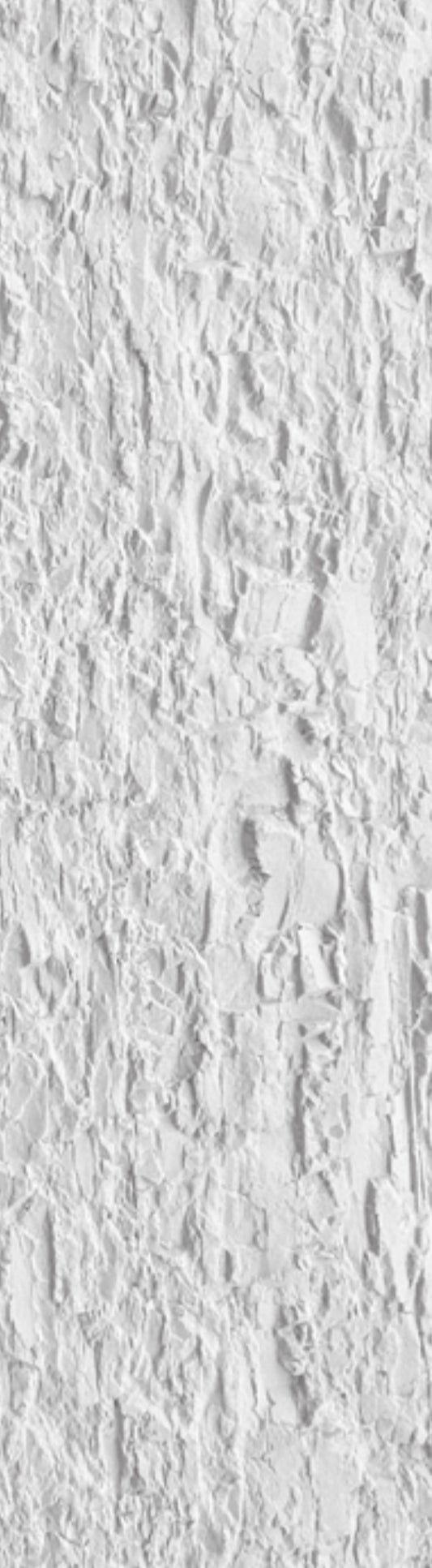 Reef Rock Panel